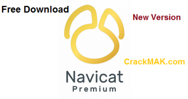 Navicat Premium 16.2.10 Crack + Registration Key  (Latest Version)