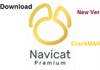 Navicat Premium 16.2.10 Crack + Registration Key  (Latest Version)
