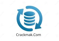Raise Data Recovery v10.20 Crack + Download For 2027